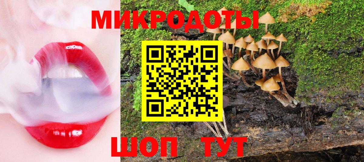 Галлюциногенные грибы мухоморы Ахтубинск
